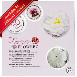 A front-facing product packaging box for the "Brilliant Begonias" flower craft kit by Forever Flowerz, featuring text in multiple languages and an age rating of 6 plus.