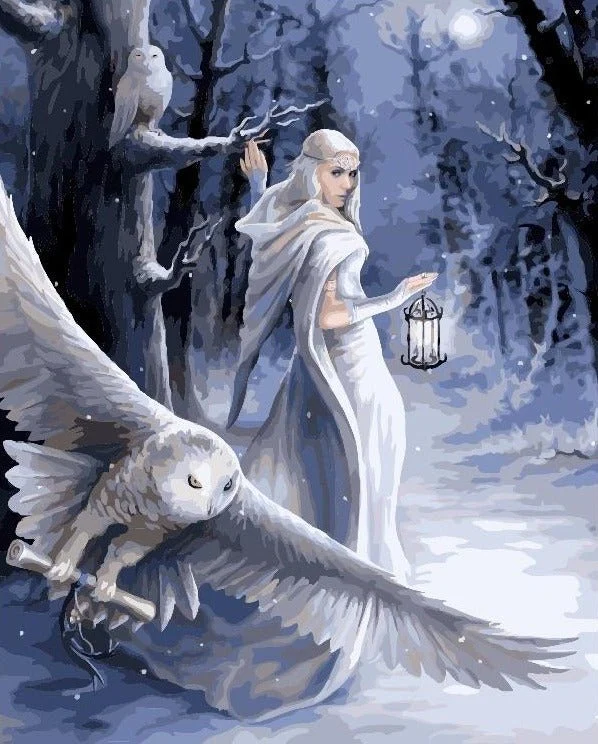 A completed paint-by-numbers canvas of "Midnight Messenger" by Anne Stokes, featuring an elven woman with a lantern and a snowy owl in a winter forest.