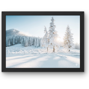 A horizontal black-framed photograph of a snow-covered field with frost-coated pine trees under a bright winter sun, with a snow-dusted mountain in the background.